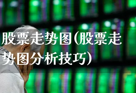 股票走势图(股票走势图分析技巧)_https://www.gfdzclz.com_创业板_第1张