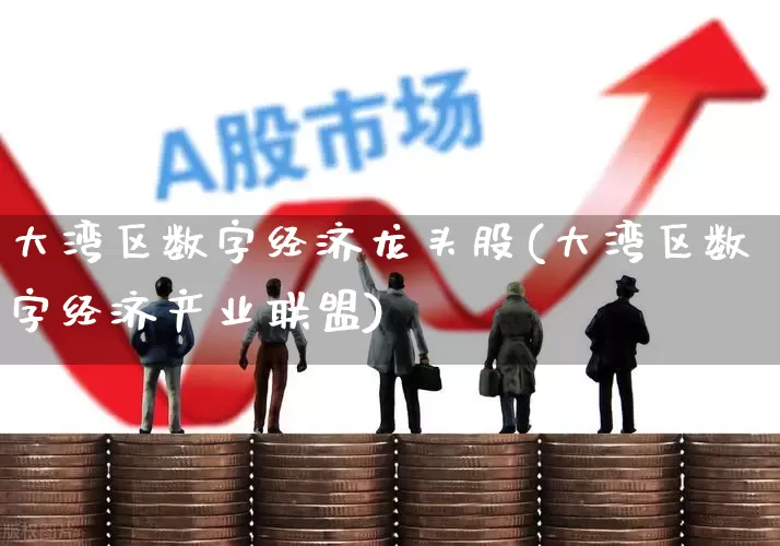 大湾区数字经济龙头股(大湾区数字经济产业联盟)_https://www.gfdzclz.com_北交所_第1张