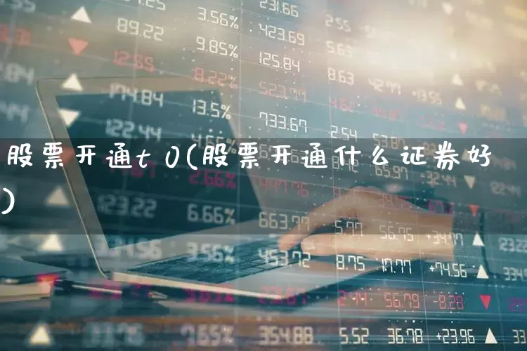 股票开通t 0(股票开通什么证券好)_https://www.gfdzclz.com_上交所_第1张