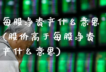 每股净资产什么意思(股价高于每股净资产什么意思)_https://www.gfdzclz.com_北交所_第1张