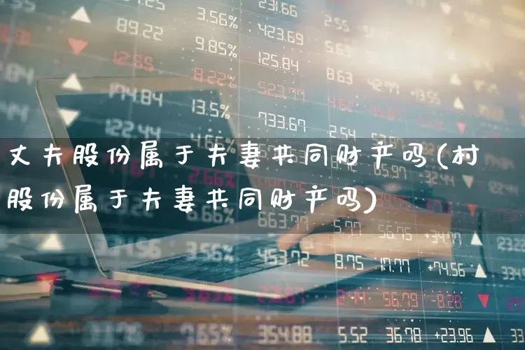 丈夫股份属于夫妻共同财产吗(村股份属于夫妻共同财产吗)_https://www.gfdzclz.com_上交所_第1张