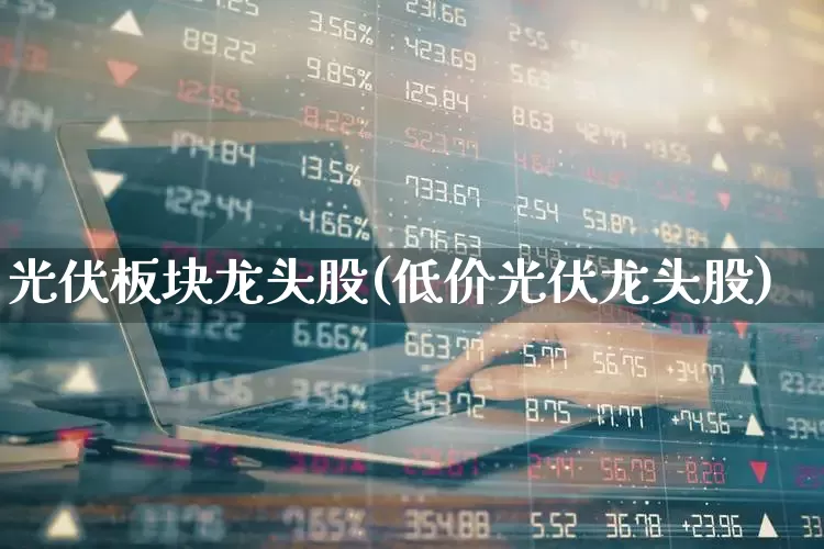 光伏板块龙头股(低价光伏龙头股)_https://www.gfdzclz.com_上交所_第1张