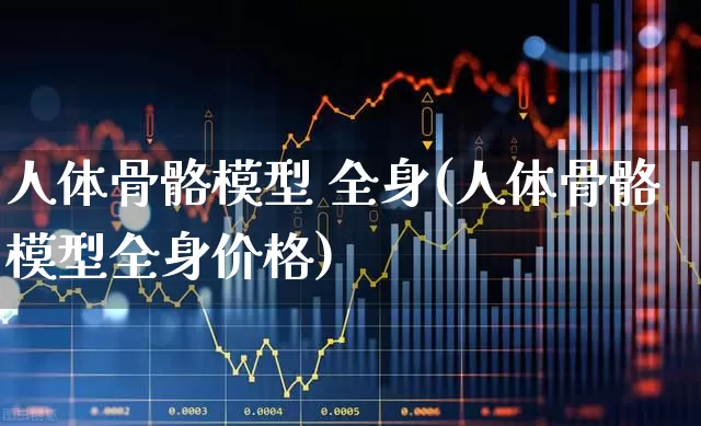 人体骨骼模型 全身(人体骨骼模型全身价格)_https://www.gfdzclz.com_深交所_第1张