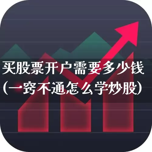 买股票开户需要多少钱(一窍不通怎么学炒股)_https://www.gfdzclz.com_上交所_第1张