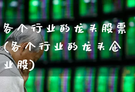 各个行业的龙头股票(各个行业的龙头企业股)_https://www.gfdzclz.com_上交所_第1张