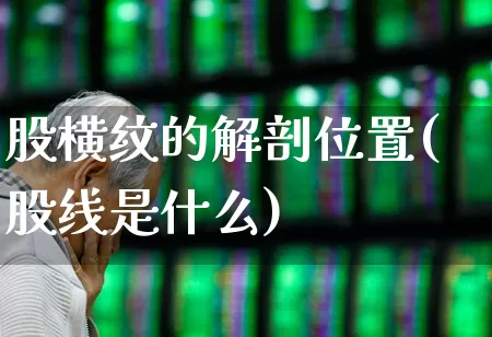 股横纹的解剖位置(股线是什么)_https://www.gfdzclz.com_创业板_第1张