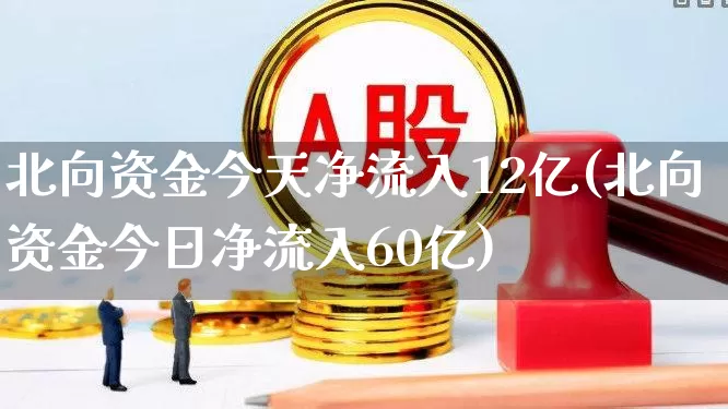 北向资金今天净流入12亿(北向资金今日净流入60亿)_https://www.gfdzclz.com_上交所_第1张