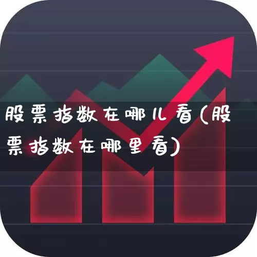 股票指数在哪儿看(股票指数在哪里看)_https://www.gfdzclz.com_上交所_第1张