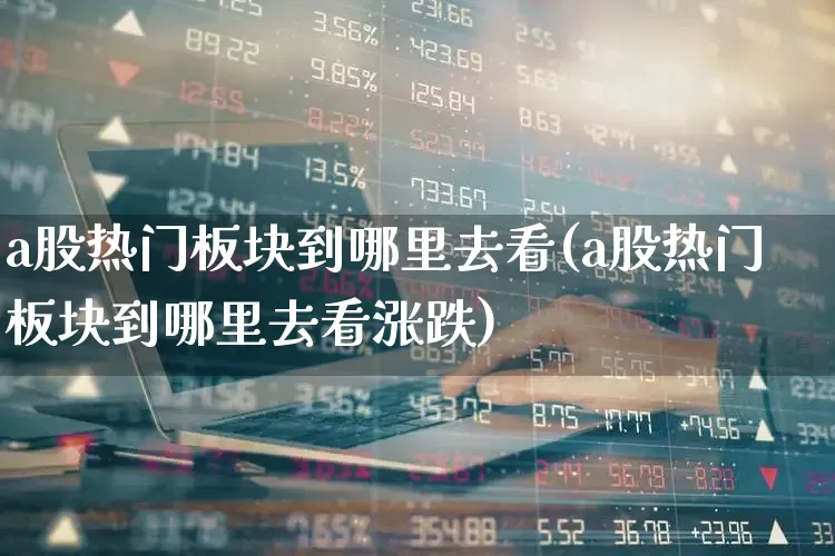 a股热门板块到哪里去看(a股热门板块到哪里去看涨跌)_https://www.gfdzclz.com_上交所_第1张