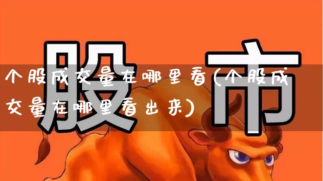 个股成交量在哪里看(个股成交量在哪里看出来)_https://www.gfdzclz.com_深交所_第1张