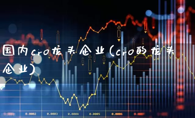 国内cro龙头企业(cro的龙头企业)_https://www.gfdzclz.com_深交所_第1张