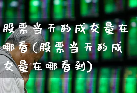 股票当天的成交量在哪看(股票当天的成交量在哪看到)_https://www.gfdzclz.com_北交所_第1张
