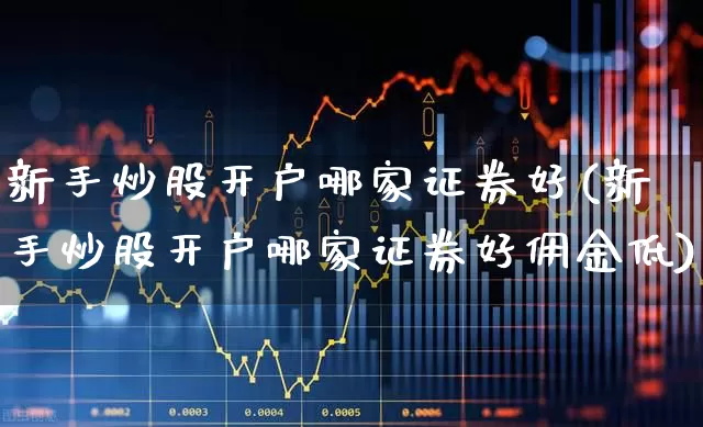 新手炒股开户哪家证券好(新手炒股开户哪家证券好佣金低)_https://www.gfdzclz.com_上交所_第1张