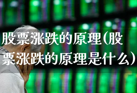 股票涨跌的原理(股票涨跌的原理是什么)_https://www.gfdzclz.com_科创板_第1张