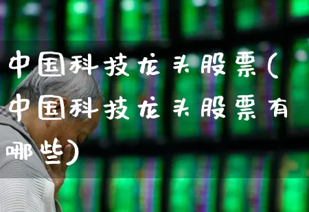 中国科技龙头股票(中国科技龙头股票有哪些)_https://www.gfdzclz.com_上交所_第1张