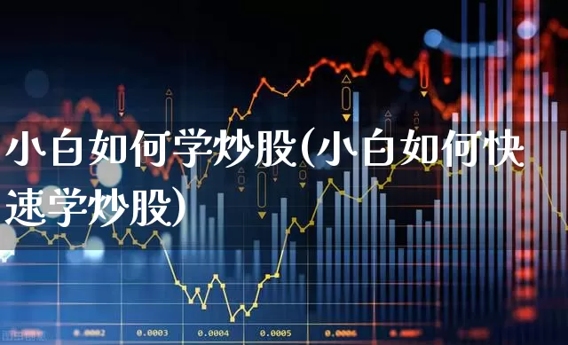 小白如何学炒股(小白如何快速学炒股)_https://www.gfdzclz.com_上交所_第1张