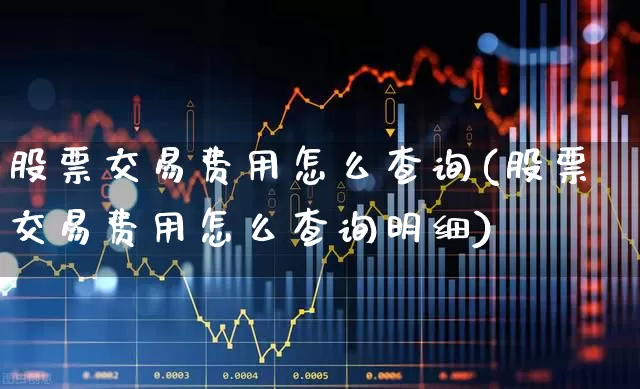股票交易费用怎么查询(股票交易费用怎么查询明细)_https://www.gfdzclz.com_创业板_第1张