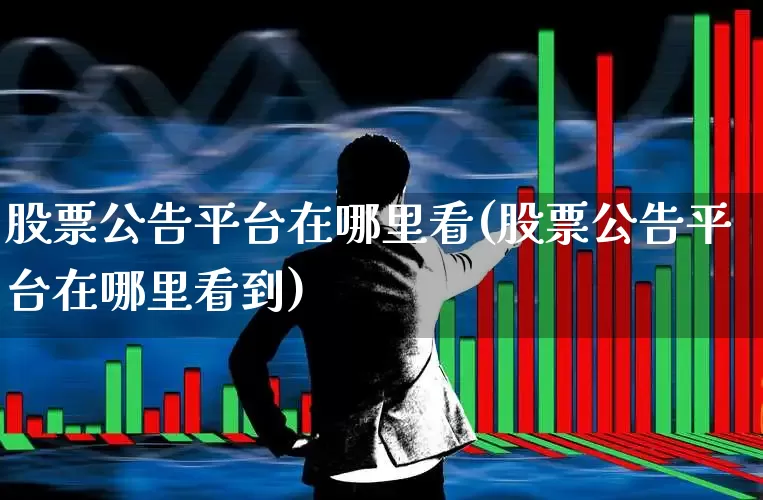 股票公告平台在哪里看(股票公告平台在哪里看到)_https://www.gfdzclz.com_科创板_第1张
