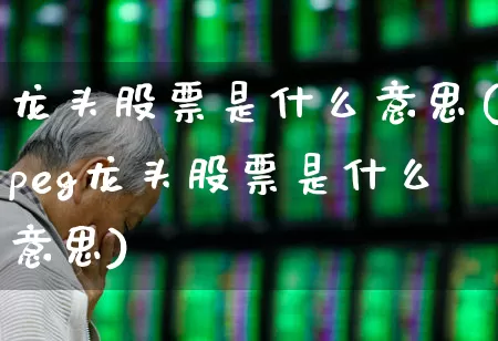 龙头股票是什么意思(peg龙头股票是什么意思)_https://www.gfdzclz.com_北交所_第1张