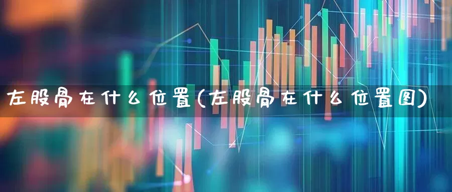 左股骨在什么位置(左股骨在什么位置图)_https://www.gfdzclz.com_创业板_第1张