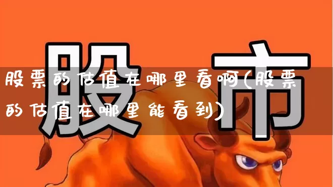 股票的估值在哪里看啊(股票的估值在哪里能看到)_https://www.gfdzclz.com_科创板_第1张