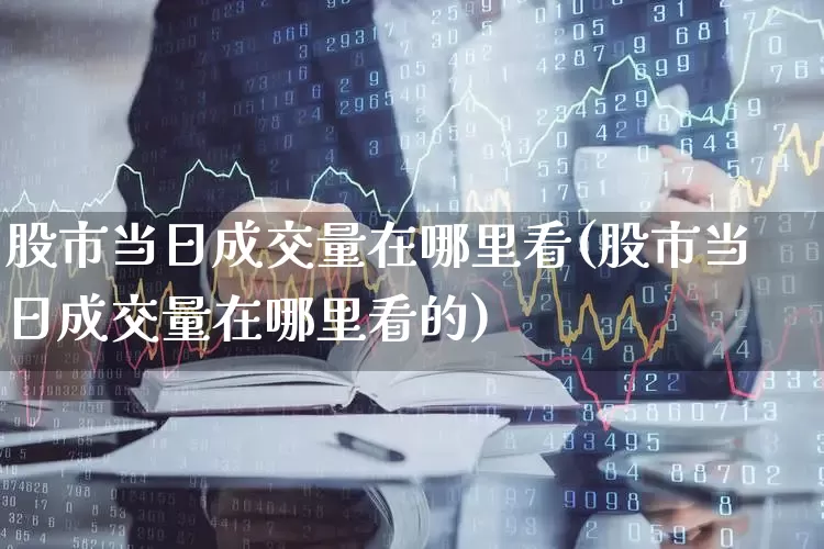 股市当日成交量在哪里看(股市当日成交量在哪里看的)_https://www.gfdzclz.com_北交所_第1张