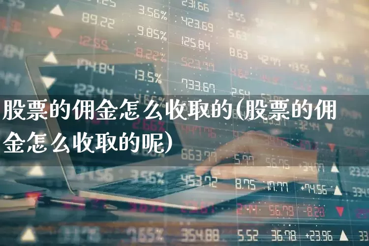 股票的佣金怎么收取的(股票的佣金怎么收取的呢)_https://www.gfdzclz.com_科创板_第1张