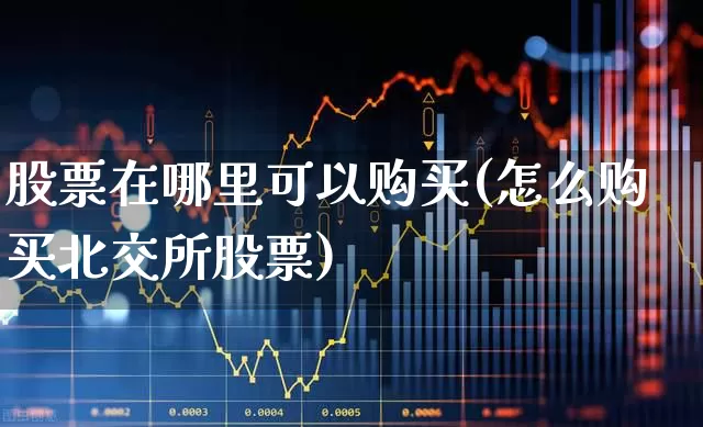 股票在哪里可以购买(怎么购买北交所股票)_https://www.gfdzclz.com_创业板_第1张