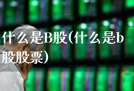 什么是B股(什么是b股股票)_https://www.gfdzclz.com_上交所_第1张