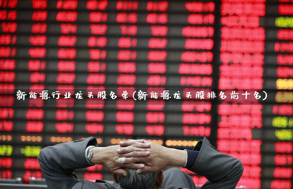 新能源行业龙头股名单(新能源龙头股排名前十名)_https://www.gfdzclz.com_深交所_第1张