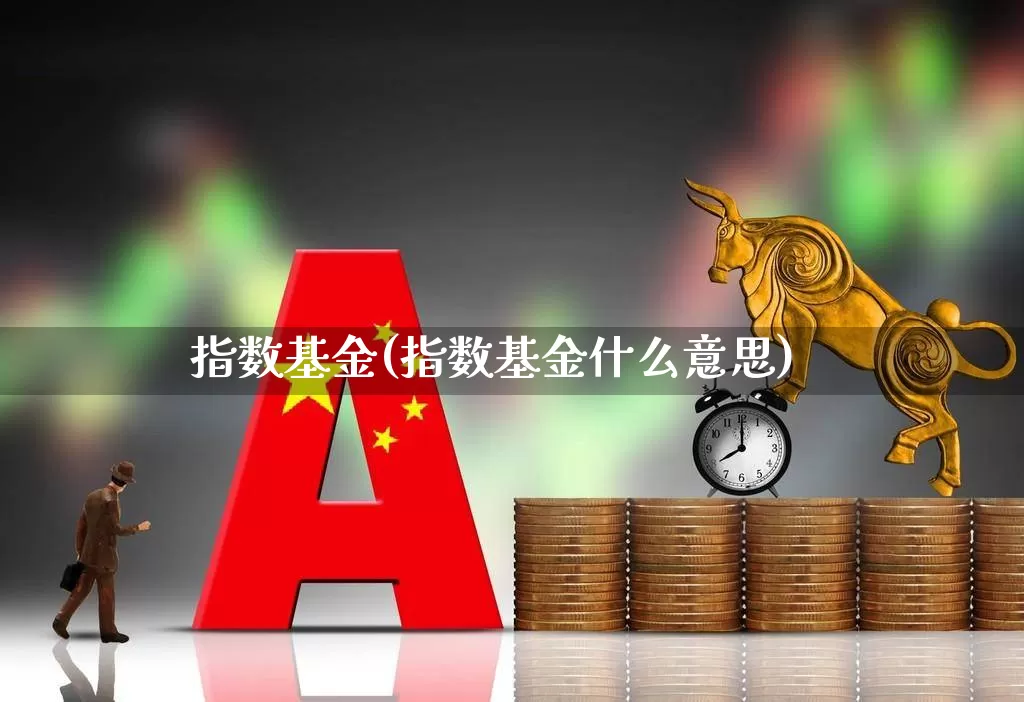 指数基金(指数基金什么意思)_https://www.gfdzclz.com_深交所_第1张