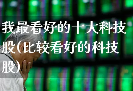 我最看好的十大科技股(比较看好的科技股)_https://www.gfdzclz.com_上交所_第1张