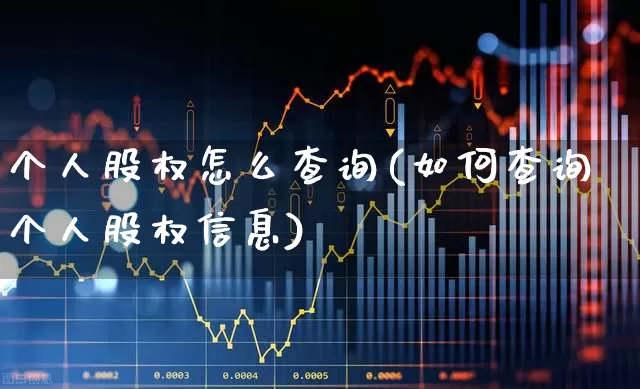 个人股权怎么查询(如何查询个人股权信息)_https://www.gfdzclz.com_创业板_第1张