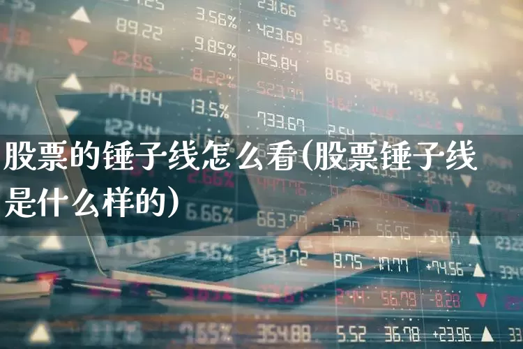 股票的锤子线怎么看(股票锤子线是什么样的)_https://www.gfdzclz.com_上交所_第1张