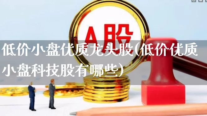 低价小盘优质龙头股(低价优质小盘科技股有哪些)_https://www.gfdzclz.com_北交所_第1张