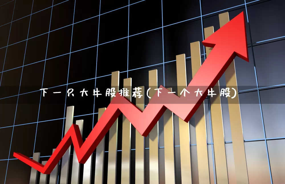 下一只大牛股推荐(下一个大牛股)_https://www.gfdzclz.com_北交所_第1张