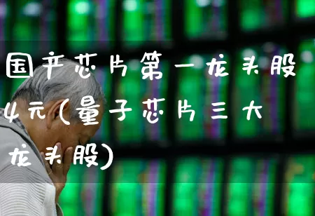 国产芯片第一龙头股4元(量子芯片三大龙头股)_https://www.gfdzclz.com_上交所_第1张