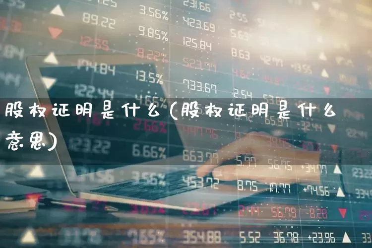 股权证明是什么(股权证明是什么意思)_https://www.gfdzclz.com_深交所_第1张