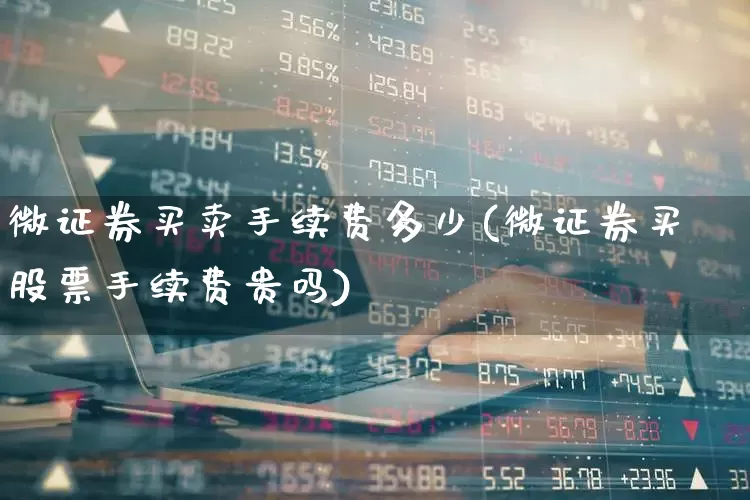 微证券买卖手续费多少(微证券买股票手续费贵吗)_https://www.gfdzclz.com_上交所_第1张