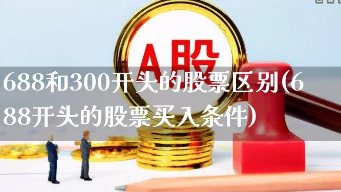 688和300开头的股票区别(688开头的股票买入条件)_https://www.gfdzclz.com_科创板_第1张