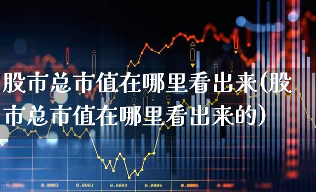 股市总市值在哪里看出来(股市总市值在哪里看出来的)_https://www.gfdzclz.com_上交所_第1张