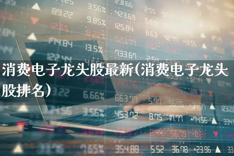 消费电子龙头股最新(消费电子龙头股排名)_https://www.gfdzclz.com_上交所_第1张