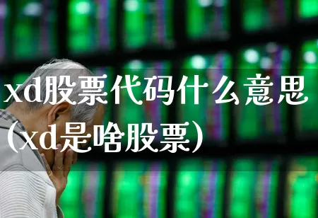 xd股票代码什么意思(xd是啥股票)_https://www.gfdzclz.com_创业板_第1张