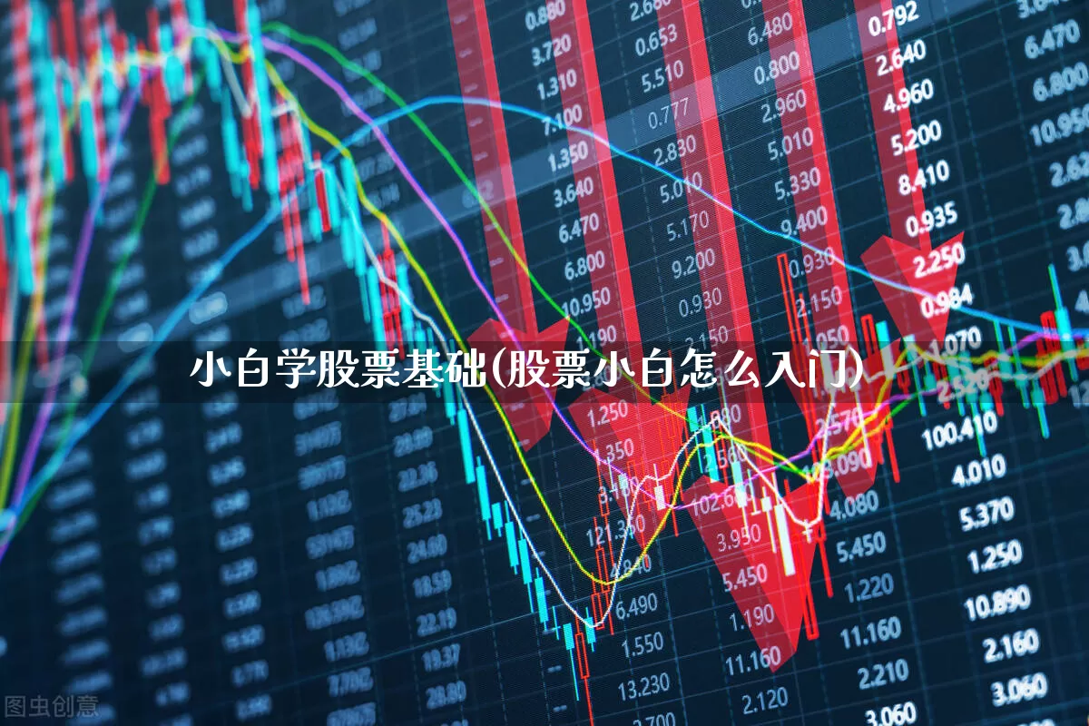 小白学股票基础(股票小白怎么入门)_https://www.gfdzclz.com_创业板_第1张