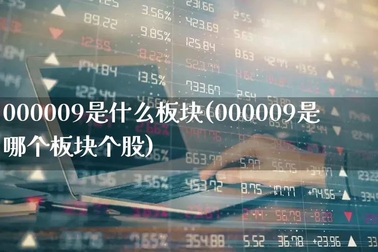 000009是什么板块(000009是哪个板块个股)_https://www.gfdzclz.com_创业板_第1张