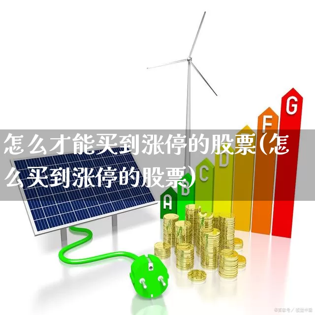怎么才能买到涨停的股票(怎么买到涨停的股票)_https://www.gfdzclz.com_北交所_第1张