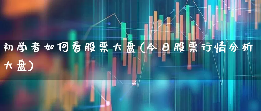 初学者如何看股票大盘(今日股票行情分析大盘)_https://www.gfdzclz.com_深交所_第1张