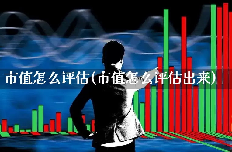 市值怎么评估(市值怎么评估出来)_https://www.gfdzclz.com_上交所_第1张