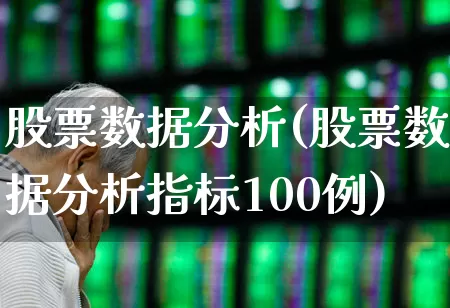 股票数据分析(股票数据分析指标100例)_https://www.gfdzclz.com_深交所_第1张