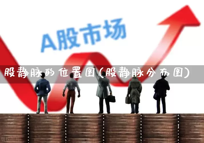 股静脉的位置图(股静脉分布图)_https://www.gfdzclz.com_北交所_第1张